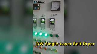 DW Single-Layer Belt Drye