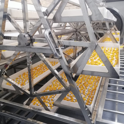 Handelsvakuumtrockenerer Ananas-Mango-Entwässerungsmittel-Ofen der mikrowellen-24KW