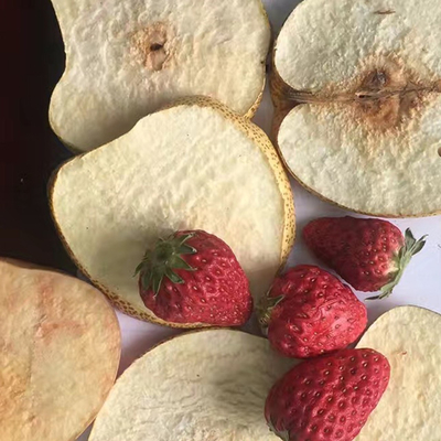 Jogurt-Erdbeerejackfruit-Vakuumfrost-Trockner PLC-Kartoffel Chips Drying Machine