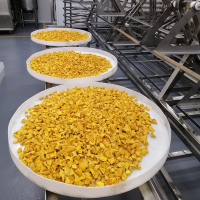 Industrielles Mikrowellen-Vakuumtrockenerer Avocado-tropische Frucht-Trockenofen Soem-ODM