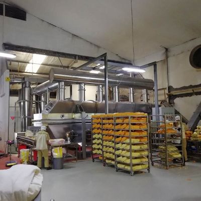 vibrierender Wirbelschichttrockner 100-130kg/H