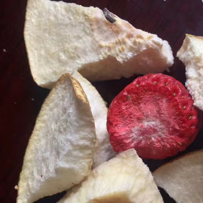 Kräutermedizin-Vakuumgefriertrocknungs-Maschinen-Frucht-Seegurken-Trockner