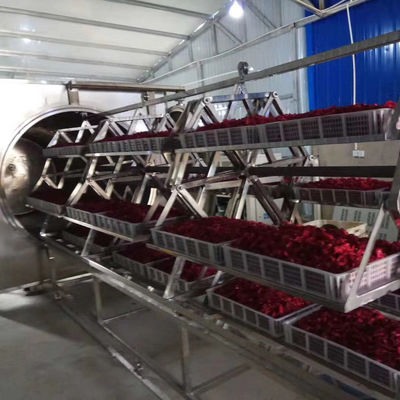 der Mikrowellen-38.4-48kg/H Edelstahl-Frucht-Trockenofen Vakuumdes entwässerungsmittel-304